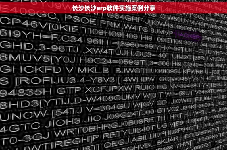 长沙长沙erp软件实施案例分享