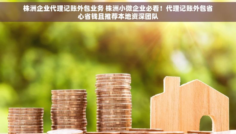 株洲企业代理记账外包业务 株洲小微企业必看！代理记账外包省心省钱且推荐本地资深团队