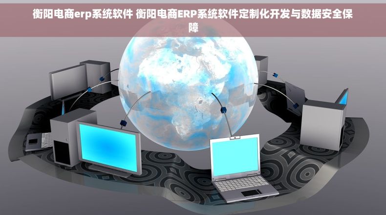 衡阳电商erp系统软件 衡阳电商ERP系统软件定制化开发与数据安全保障