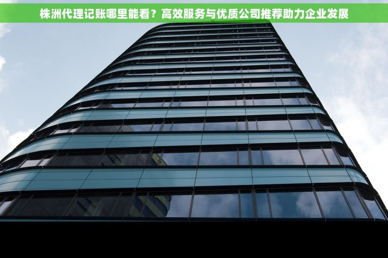 株洲代理记账哪里能看？高效服务与优质公司推荐助力企业发展