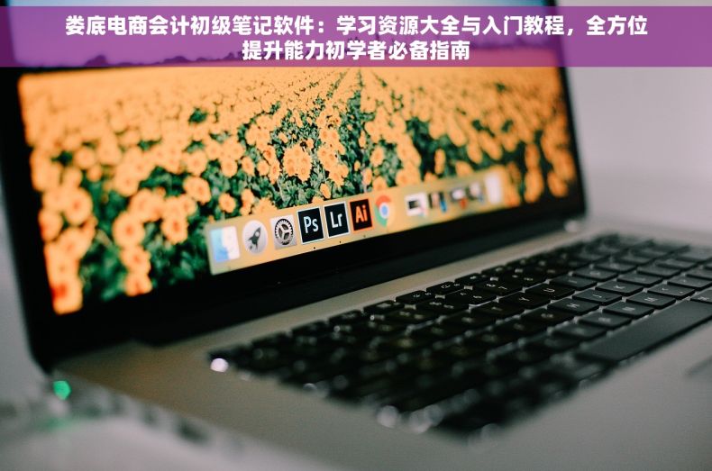 娄底电商会计初级笔记软件：学习资源大全与入门教程，全方位提升能力初学者必备指南
