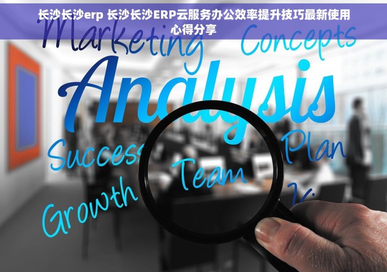 长沙长沙erp 长沙长沙ERP云服务办公效率提升技巧最新使用心得分享