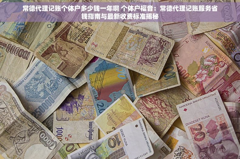 常德代理记账个体户多少钱一年啊 个体户福音：常德代理记账服务省钱指南与最新收费标准揭秘