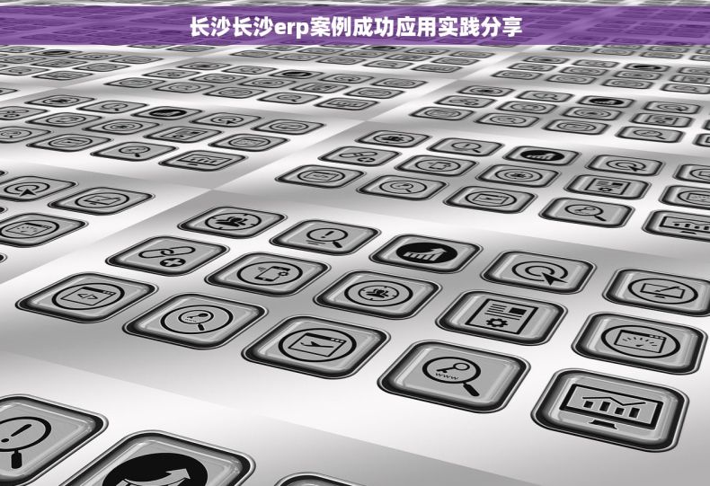 长沙长沙erp案例成功应用实践分享