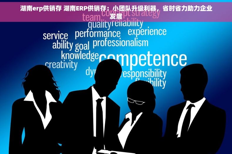 湖南erp供销存 湖南ERP供销存：小团队升级利器，省时省力助力企业发展