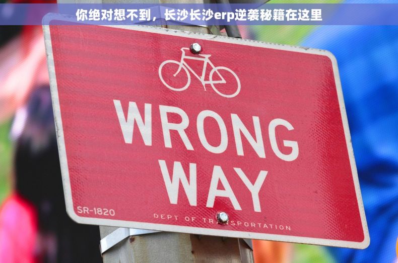你绝对想不到，长沙长沙erp逆袭秘籍在这里