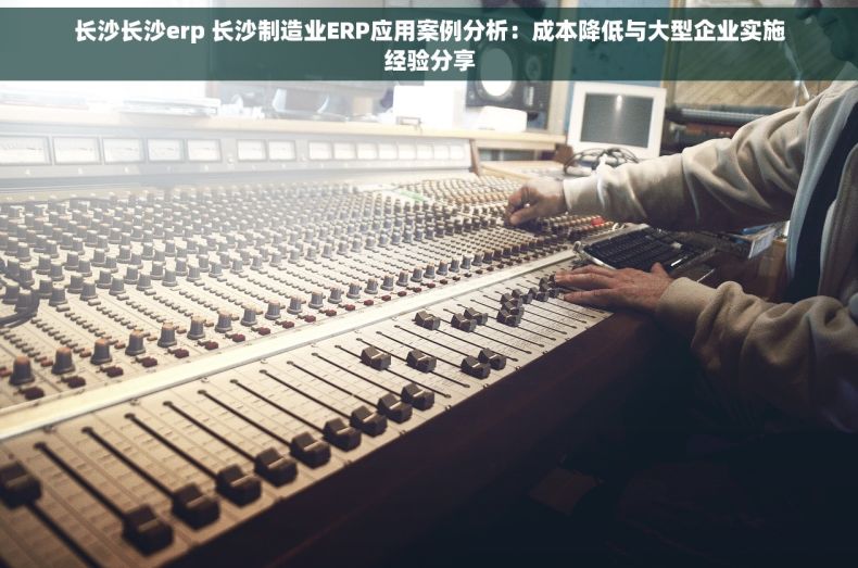 长沙长沙erp 长沙制造业ERP应用案例分析：成本降低与大型企业实施经验分享