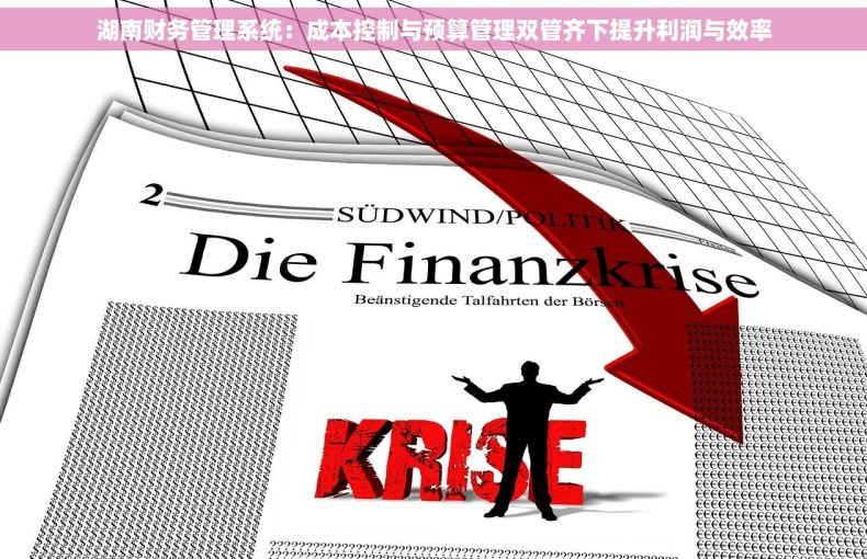 湖南财务管理系统：成本控制与预算管理双管齐下提升利润与效率