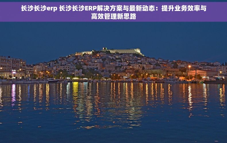 长沙长沙erp 长沙长沙ERP解决方案与最新动态：提升业务效率与高效管理新思路