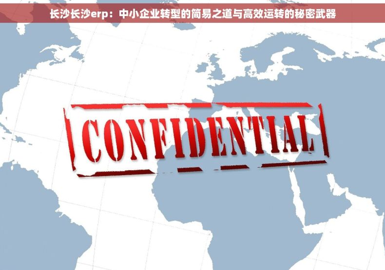 长沙长沙erp：中小企业转型的简易之道与高效运转的秘密武器