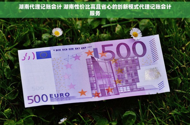 湖南代理记账会计 湖南性价比高且省心的创新模式代理记账会计服务