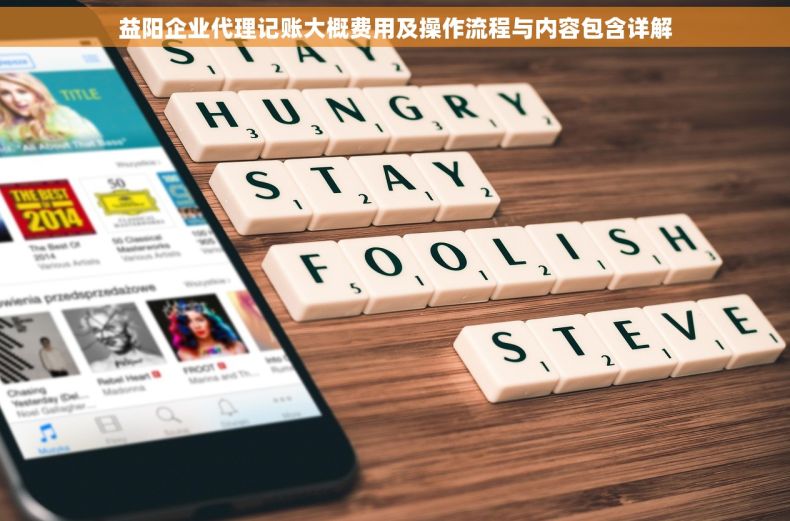 益阳企业代理记账大概费用及操作流程与内容包含详解