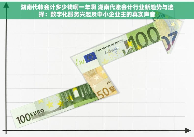 湖南代帐会计多少钱啊一年啊 湖南代账会计行业新趋势与选择：数字化服务兴起及中小企业主的真实声音