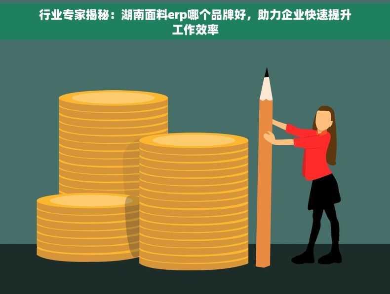 行业专家揭秘：湖南面料erp哪个品牌好，助力企业快速提升工作效率