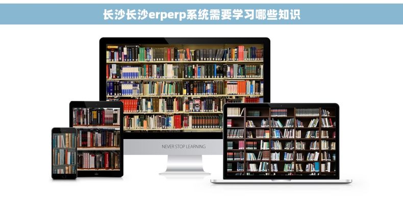 长沙长沙erperp系统需要学习哪些知识