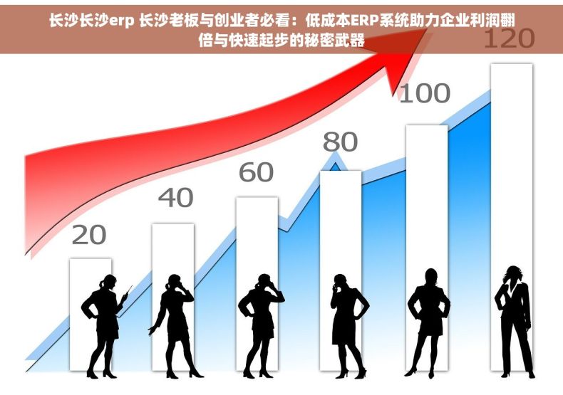 长沙长沙erp 长沙老板与创业者必看：低成本ERP系统助力企业利润翻倍与快速起步的秘密武器