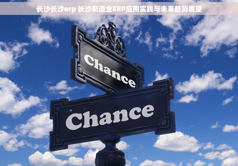 长沙长沙erp 长沙制造业ERP应用实践与未来趋势展望