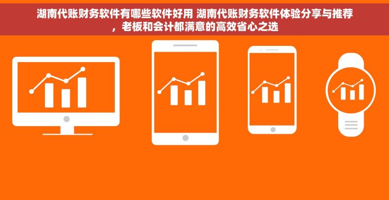 湖南代账财务软件有哪些软件好用 湖南代账财务软件体验分享与推荐，老板和会计都满意的高效省心之选