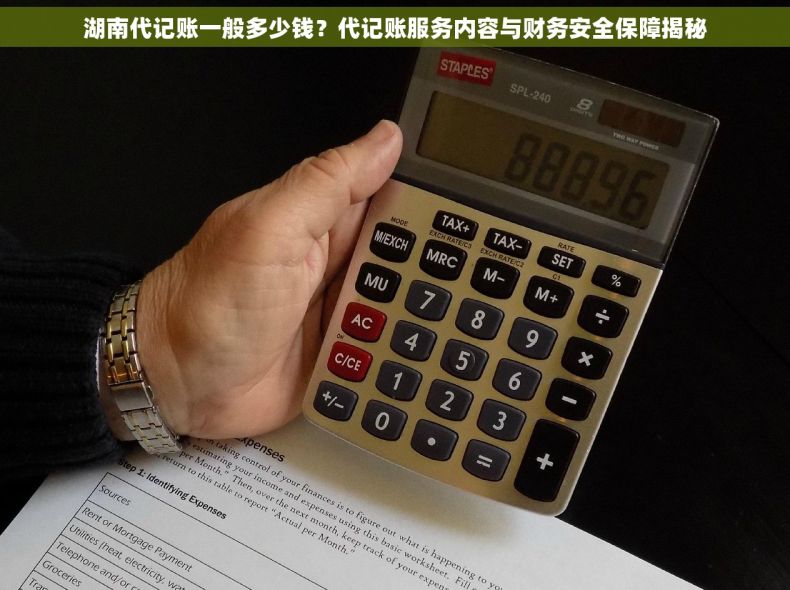 湖南代记账一般多少钱？代记账服务内容与财务安全保障揭秘