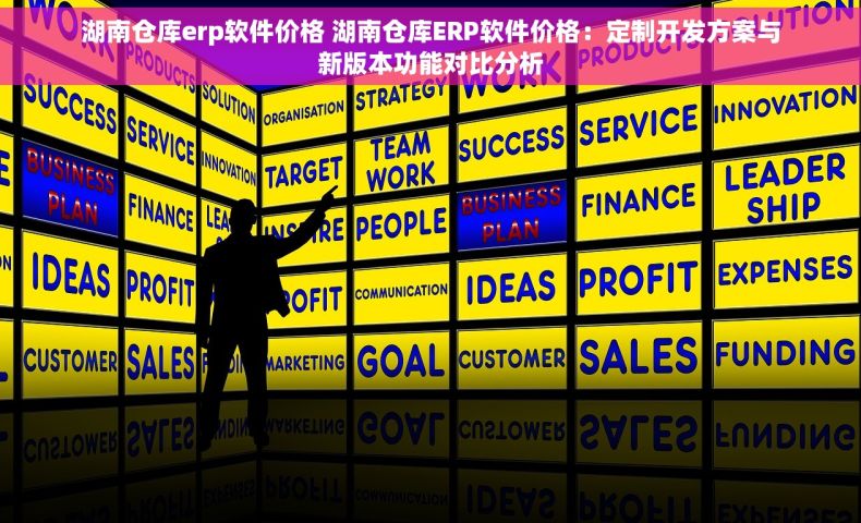 湖南仓库erp软件价格 湖南仓库ERP软件价格：定制开发方案与新版本功能对比分析