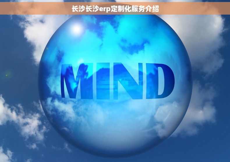长沙长沙erp定制化服务介绍