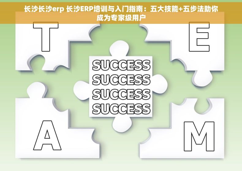 长沙长沙erp 长沙ERP培训与入门指南：五大技能+五步法助你成为专家级用户
