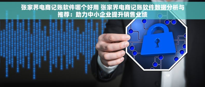 张家界电商记账软件哪个好用 张家界电商记账软件数据分析与推荐：助力中小企业提升销售业绩