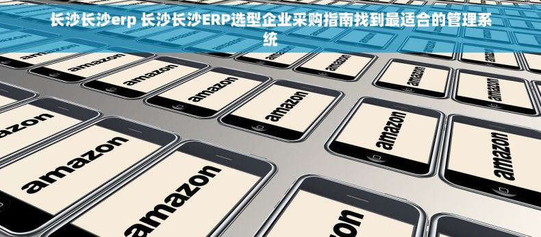 长沙长沙erp 长沙长沙ERP选型企业采购指南找到最适合的管理系统