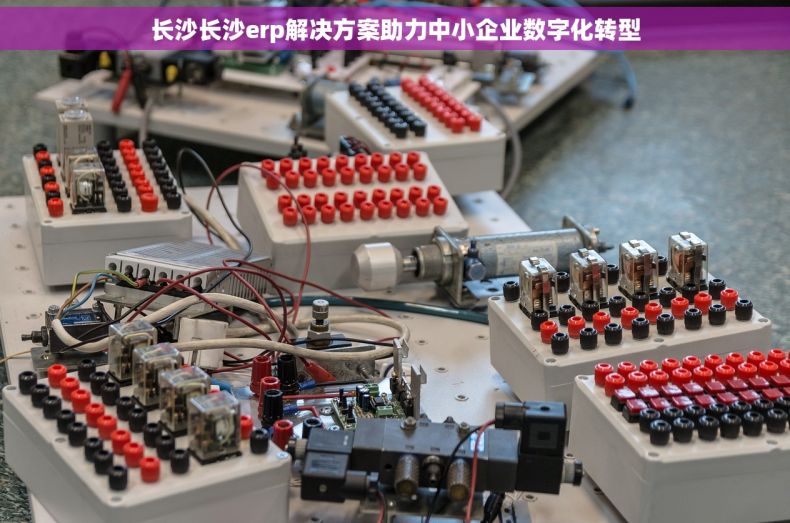 长沙长沙erp解决方案助力中小企业数字化转型