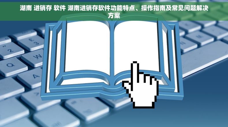 湖南 进销存 软件 湖南进销存软件功能特点、操作指南及常见问题解决方案