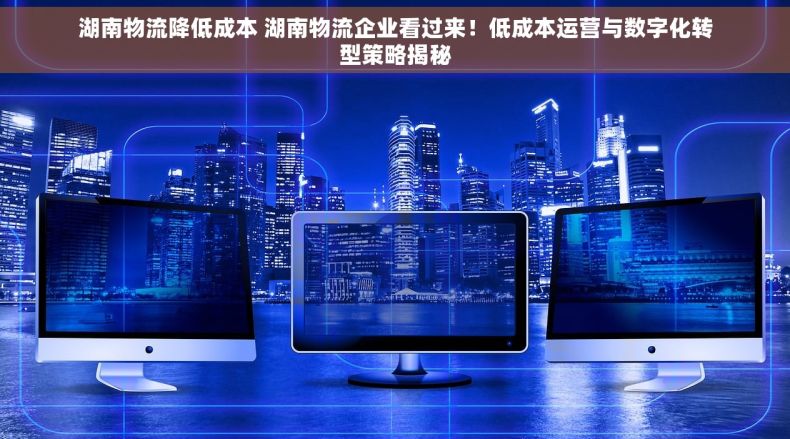 湖南物流降低成本 湖南物流企业看过来！低成本运营与数字化转型策略揭秘