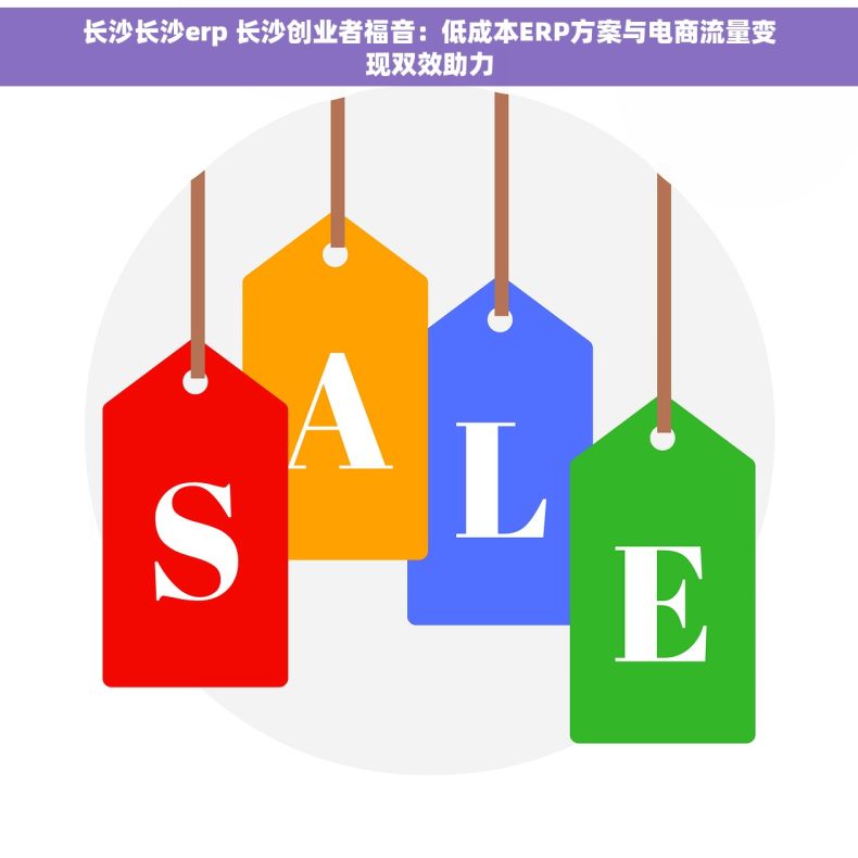 长沙长沙erp 长沙创业者福音：低成本ERP方案与电商流量变现双效助力
