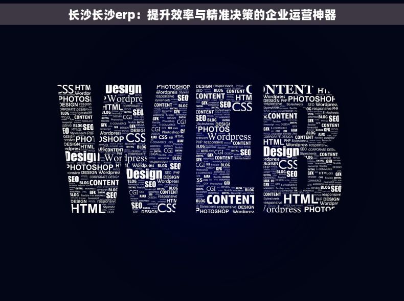 长沙长沙erp：提升效率与精准决策的企业运营神器