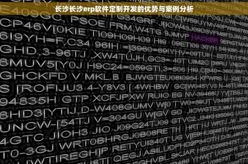 长沙长沙erp软件定制开发的优势与案例分析