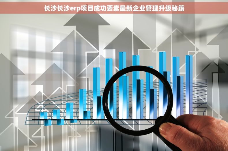 长沙长沙erp项目成功要素最新企业管理升级秘籍