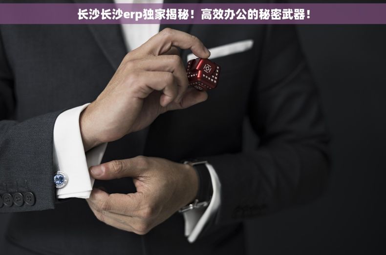 长沙长沙erp独家揭秘！高效办公的秘密武器！