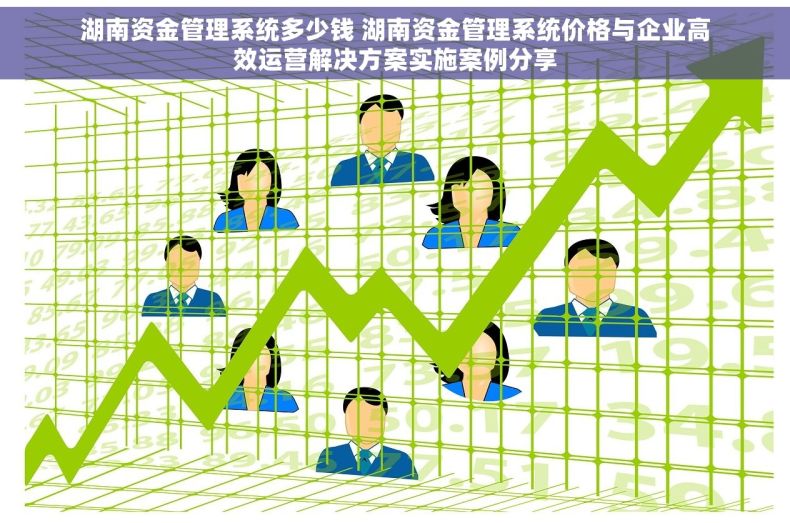 湖南资金管理系统多少钱 湖南资金管理系统价格与企业高效运营解决方案实施案例分享