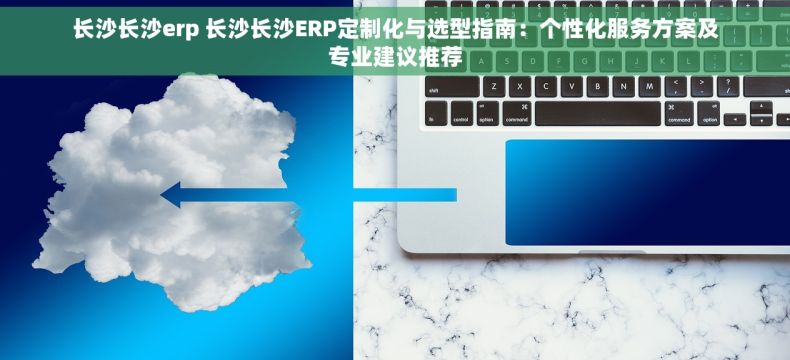 长沙长沙erp 长沙长沙ERP定制化与选型指南：个性化服务方案及专业建议推荐
