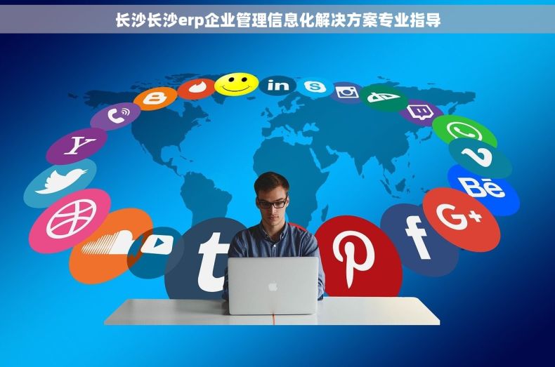 长沙长沙erp企业管理信息化解决方案专业指导