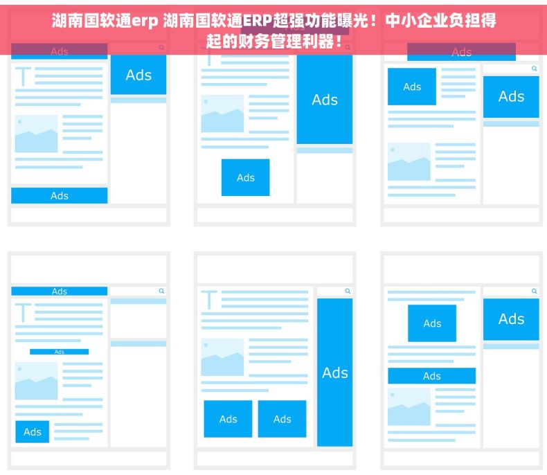 湖南国软通erp 湖南国软通ERP超强功能曝光！中小企业负担得起的财务管理利器！