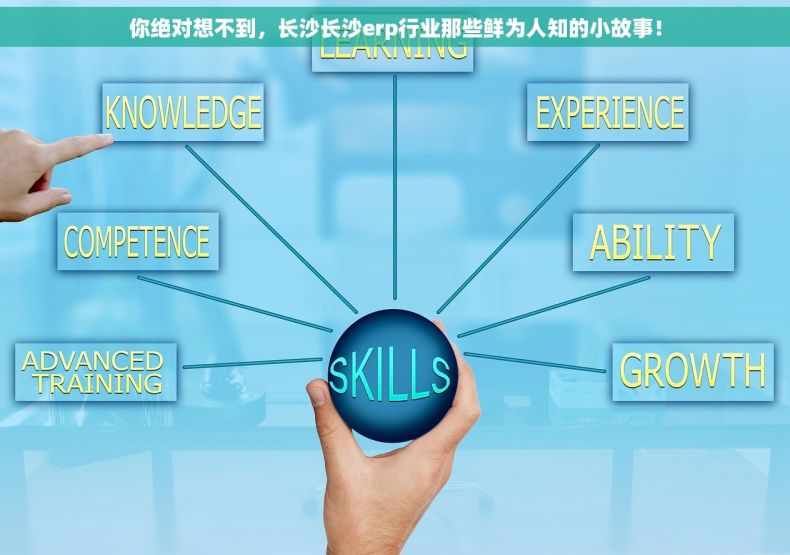 你绝对想不到，长沙长沙erp行业那些鲜为人知的小故事！