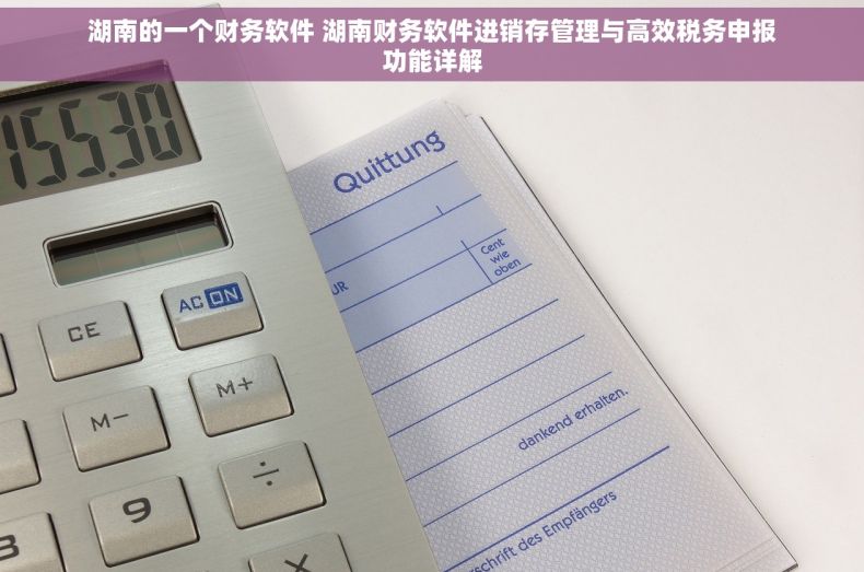 湖南的一个财务软件 湖南财务软件进销存管理与高效税务申报功能详解