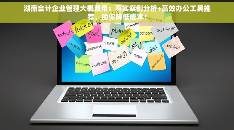 湖南会计企业管理大概费用：真实案例分析+高效办公工具推荐，助你降低成本！