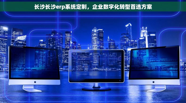 长沙长沙erp系统定制，企业数字化转型首选方案