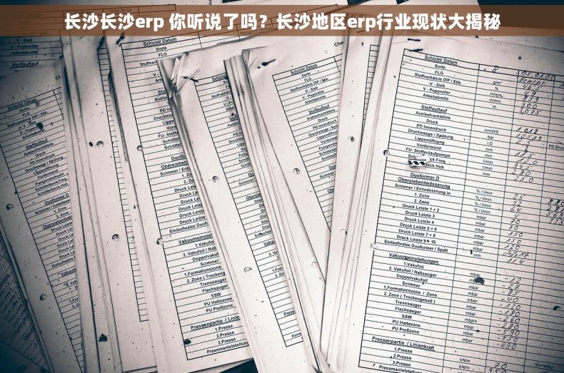 长沙长沙erp 你听说了吗？长沙地区erp行业现状大揭秘