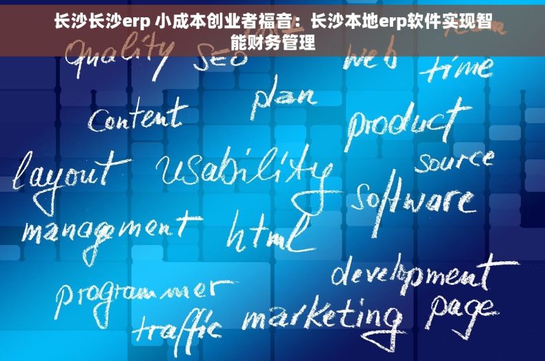 长沙长沙erp 小成本创业者福音：长沙本地erp软件实现智能财务管理