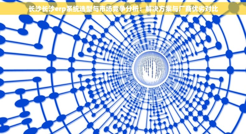长沙长沙erp系统选型与市场竞争分析：解决方案与厂商优劣对比