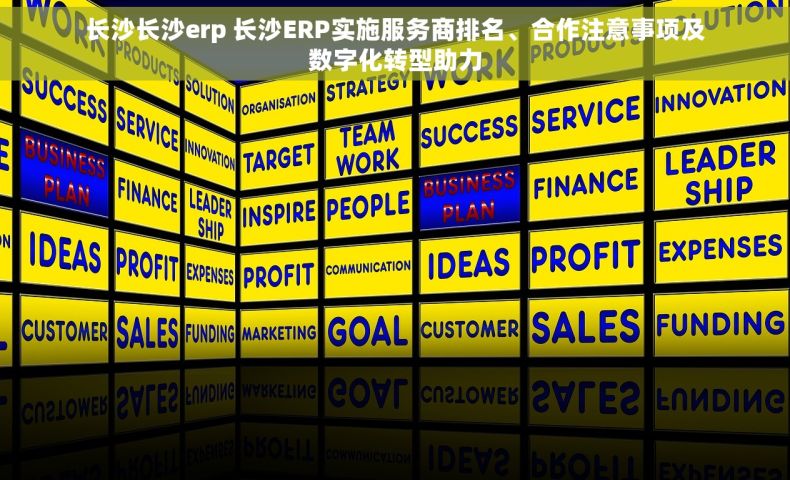 长沙长沙erp 长沙ERP实施服务商排名、合作注意事项及数字化转型助力