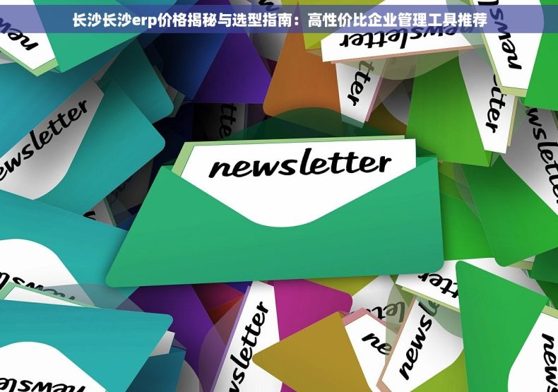 长沙长沙erp价格揭秘与选型指南：高性价比企业管理工具推荐
