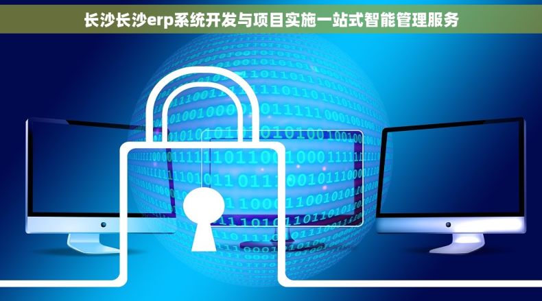 长沙长沙erp系统开发与项目实施一站式智能管理服务